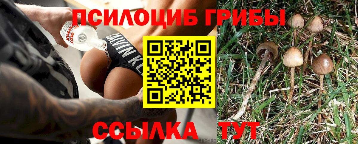 Псилоцибиновые грибы прущие грибы Димитровград