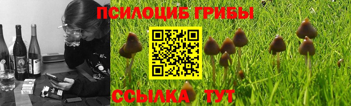 Димитровград  Псилоцибиновые грибы MAGIC MUSHROOMS  Псилоцибиновые грибы ЛСД  Вход с VPN 