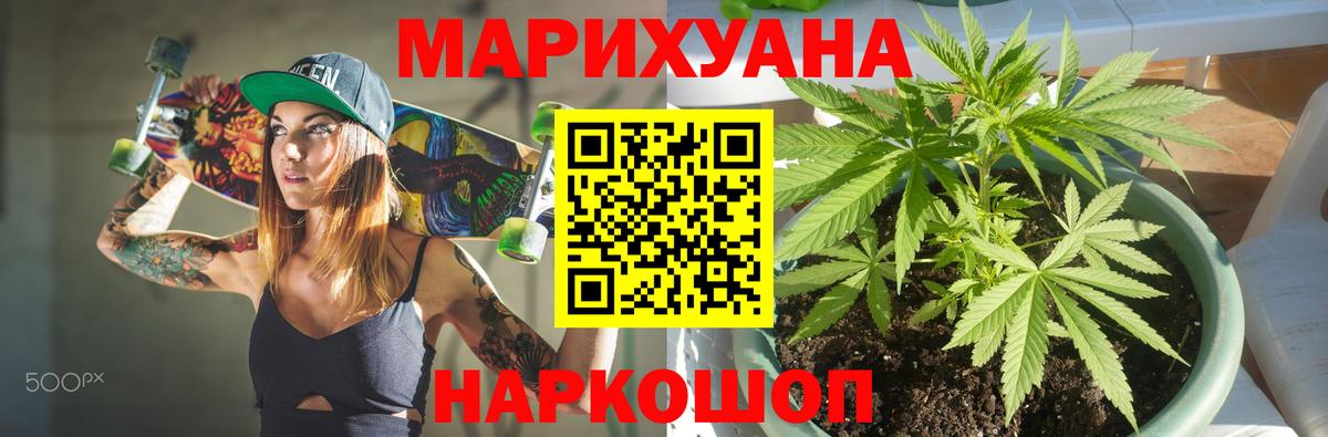 Канабис сатива Димитровград